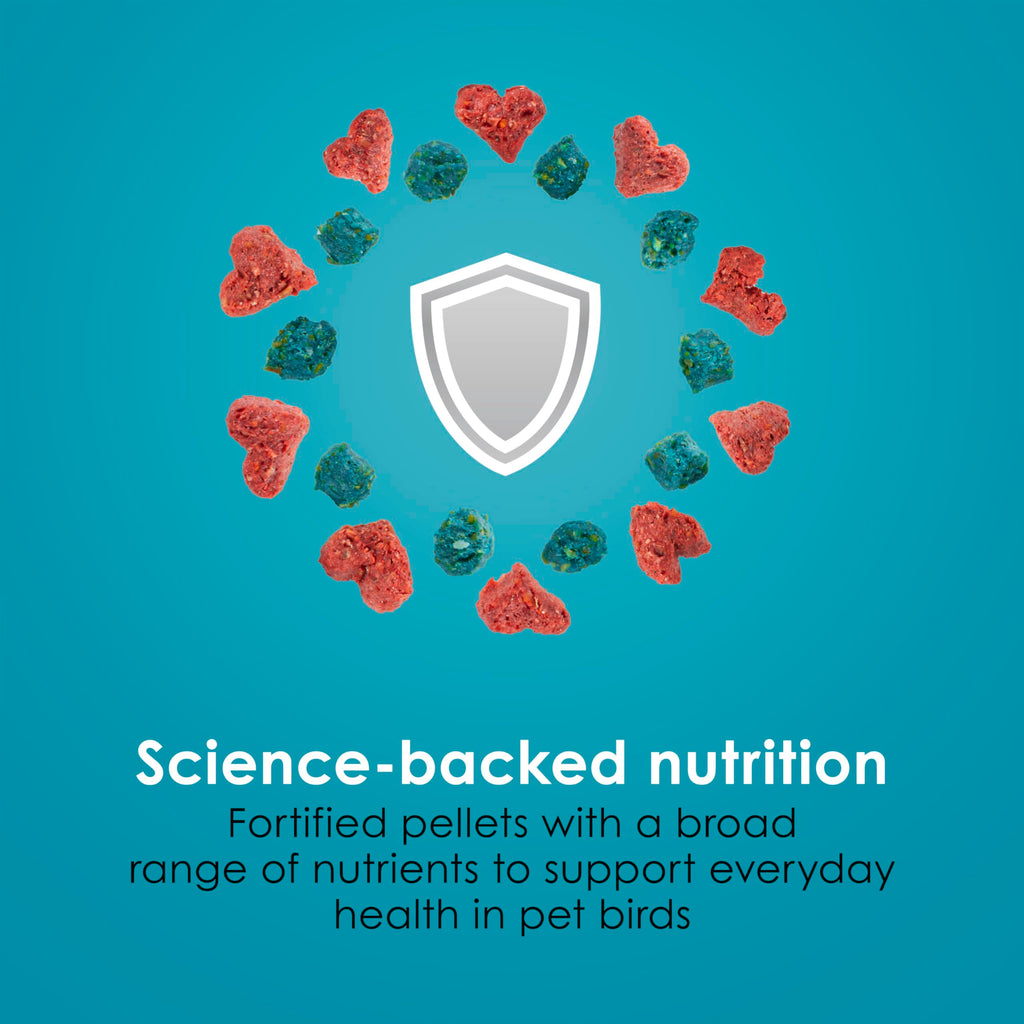 Kaytee Forti-Diet Pro Health Nourish+Protect Canary & Finch Food, 2 Lb | Supports digestion and immunity. Canary food with probiotics and prebiotics. Bird food, omega 3s, naturally preserved