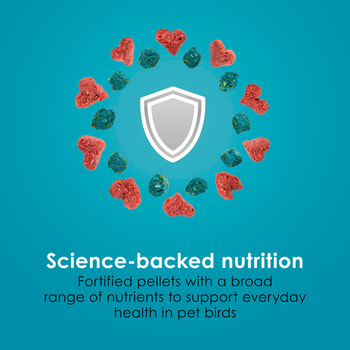 Kaytee Forti-Diet Pro Health Nourish+Protect Canary & Finch Food, 2 Lb | Supports digestion and immunity. Canary food with probiotics and prebiotics. Bird food, omega 3s, naturally preserved