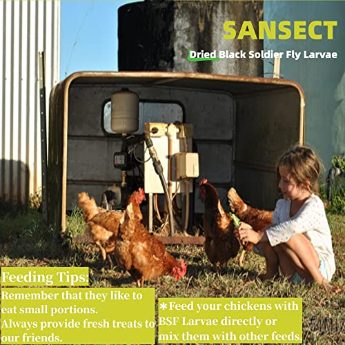 SANSECT 10LB Dried Black Soldier Fly Larvae, Chickens Feed for Wild Birds | High Protein Treats, More Calcium Than Dried Mealworms, 100% Natural Non-GMO Treat for Chickens Wild Birds, Ducks,Reptiles