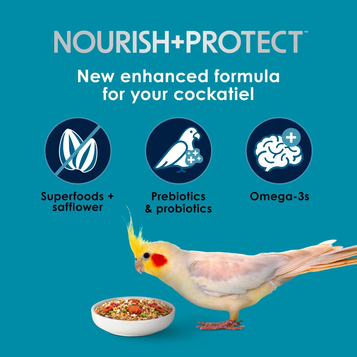 Kaytee Forti-Diet Pro Health+Safflower Nourish+Protect Cockatiel Food | Supports digestive health. Bird food cockatiel with safflower and flaxseed. Cockatiel seed, prebiotics, probiotics