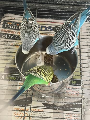 Harrison's Bird Foods Nuggies - Tasty Organic Baked Seed Clusters, 196g