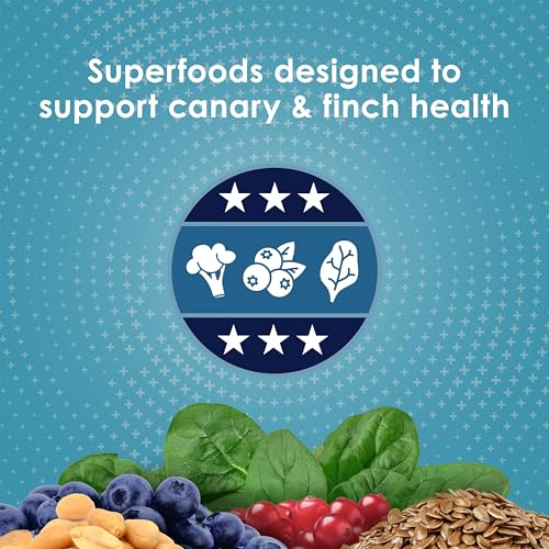 Kaytee Forti-Diet Pro Health Nourish+Protect Canary & Finch Food, 2 Lb | Supports digestion and immunity. Canary food with probiotics and prebiotics. Bird food, omega 3s, naturally preserved