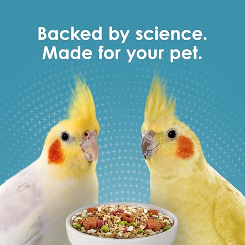 Kaytee Forti-Diet Pro Health+Safflower Nourish+Protect Cockatiel Food | Supports digestive health. Bird food cockatiel with safflower and flaxseed. Cockatiel seed, prebiotics, probiotics