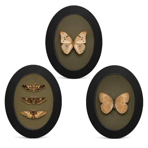 3Pcs Vintage Moody Butterfly Art Oval Small Wall Art Framed Decor | Butterfly Wall Decor Prints Pictures Vintage Room Decor for Home Bathroom Living Room