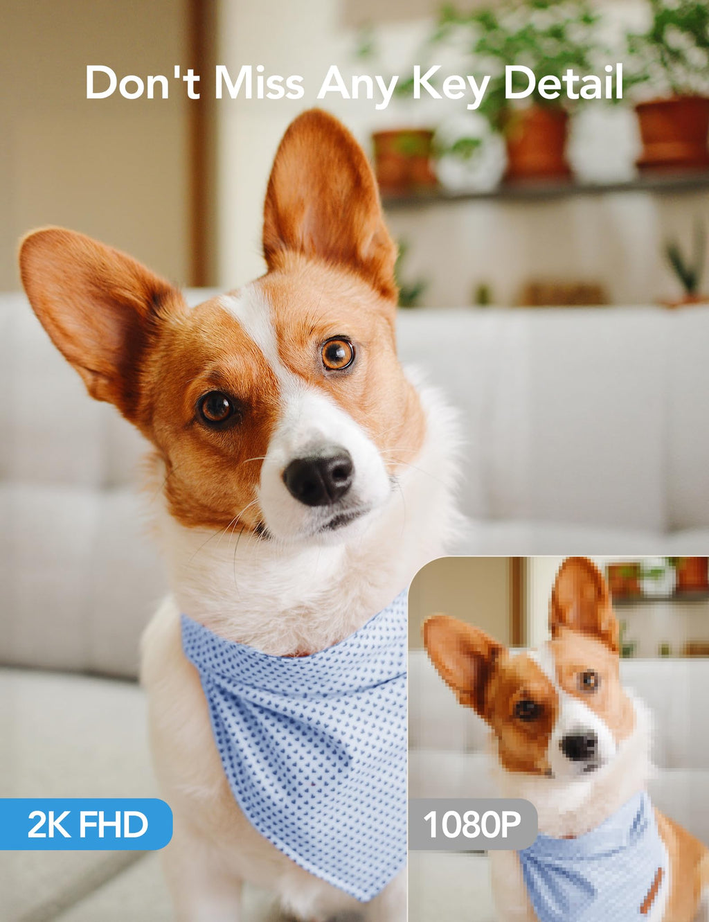 GNCC 5G Cameras for Home Security Indoor, Pet/Dog/Baby w Phone App, 4Pcs | Dual-Band Wi-Fi, 360 PTZ Auto-Tracking Pet/Dog/Cat/Puppy/Nanny, Motion Alert, SD Card or Paid Cloud