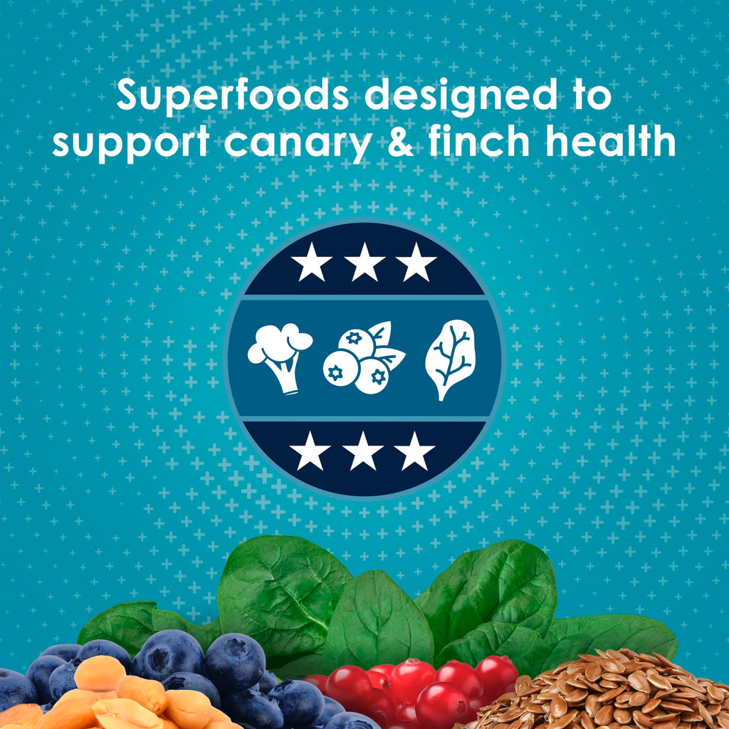 Kaytee Forti-Diet Pro Health Nourish+Protect Canary & Finch Food, 2 Lb | Supports digestion and immunity. Canary food with probiotics and prebiotics. Bird food, omega 3s, naturally preserved