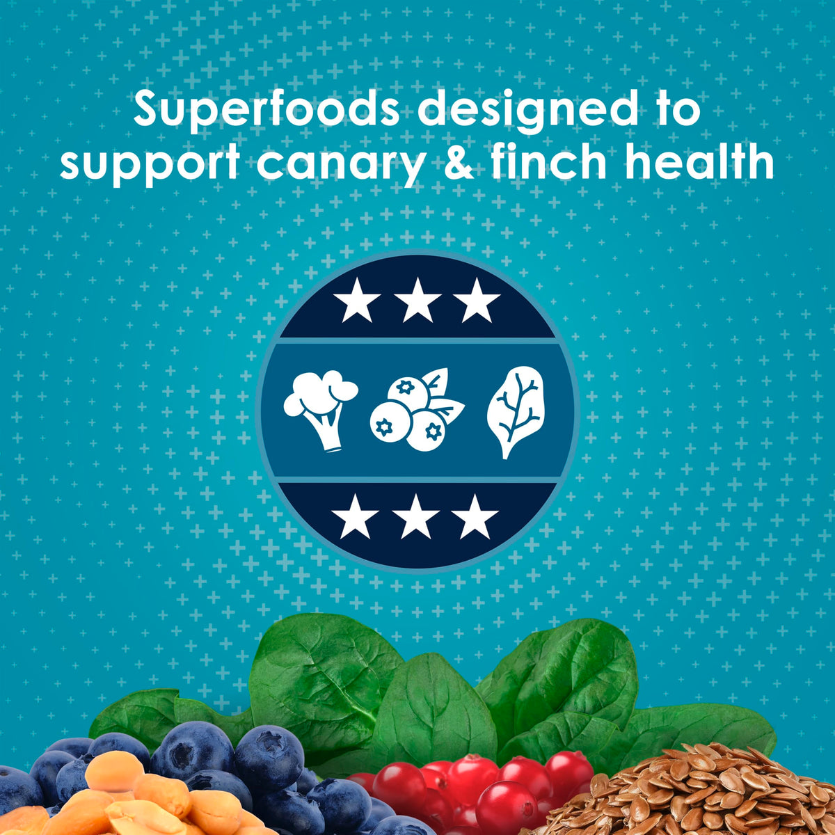 Kaytee Forti-Diet Pro Health Nourish+Protect Canary & Finch Food, 2 Lb | Supports digestion and immunity. Canary food with probiotics and prebiotics. Bird food, omega 3s, naturally preserved
