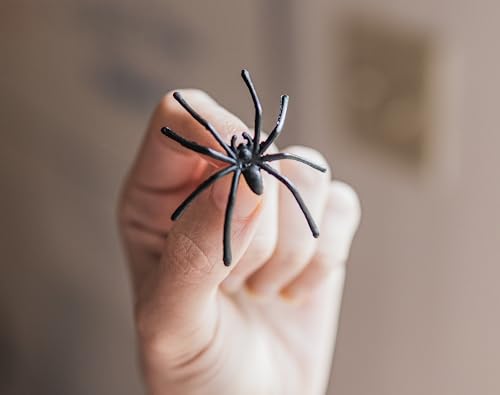 Happy Hippo Halloween Spider Web Decoration, 200 Square Feet & Plastic Spiders, Halloween Party Supplies, Spider Webs (Small, 200 Sq Feet) (8 Fake Spiders Included)