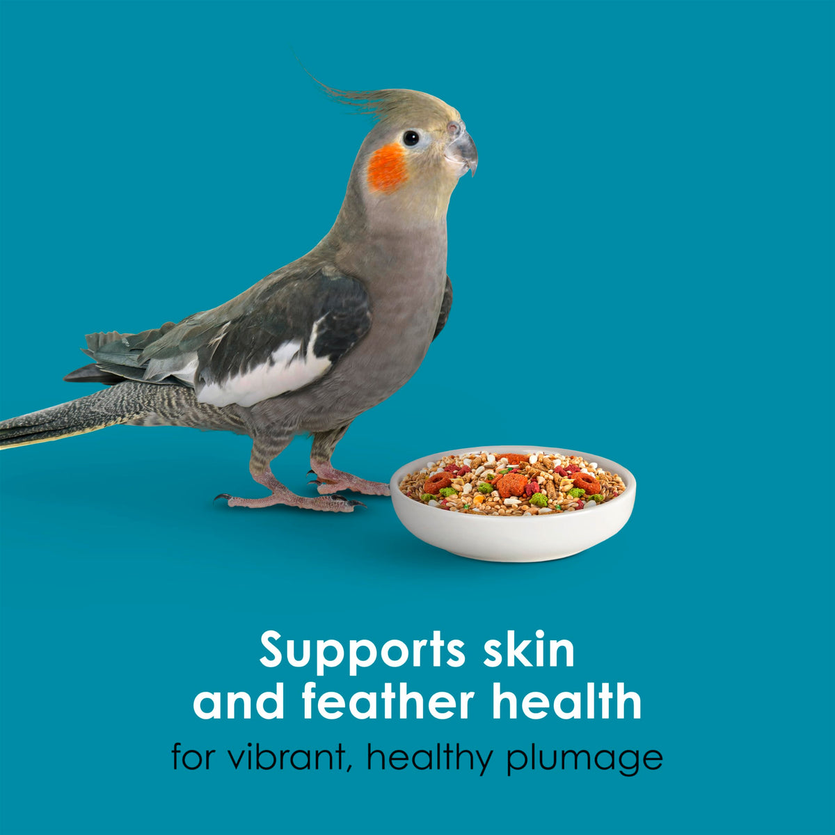 Kaytee Forti-Diet Pro Health+Safflower Nourish+Protect Cockatiel Food | Supports digestive health. Bird food cockatiel with safflower and flaxseed. Cockatiel seed, prebiotics, probiotics