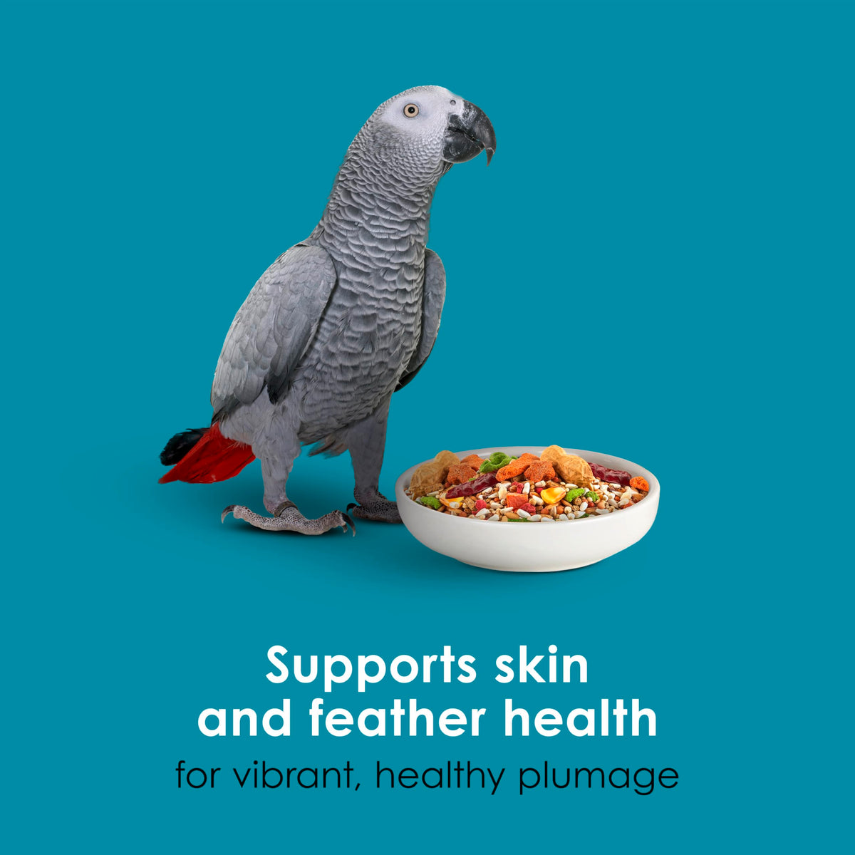 Kaytee Forti-Diet Pro Health+Safflower Parrot Food, 4 Pounds | Better digestion daily. Parrot food for medium birds. Prebiotics, probiotics, bird seed without sunflower seeds