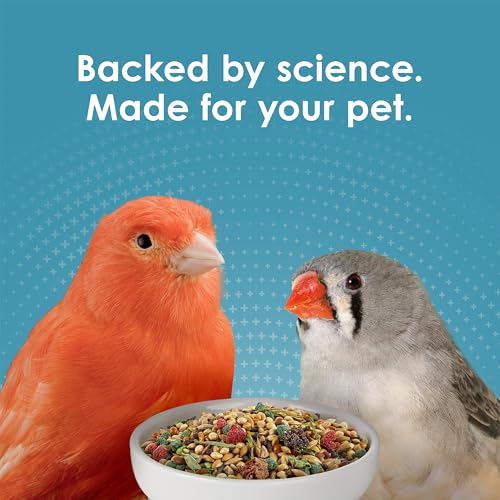 Kaytee Forti-Diet Pro Health Nourish+Protect Canary & Finch Food, 2 Lb | Supports digestion and immunity. Canary food with probiotics and prebiotics. Bird food, omega 3s, naturally preserved