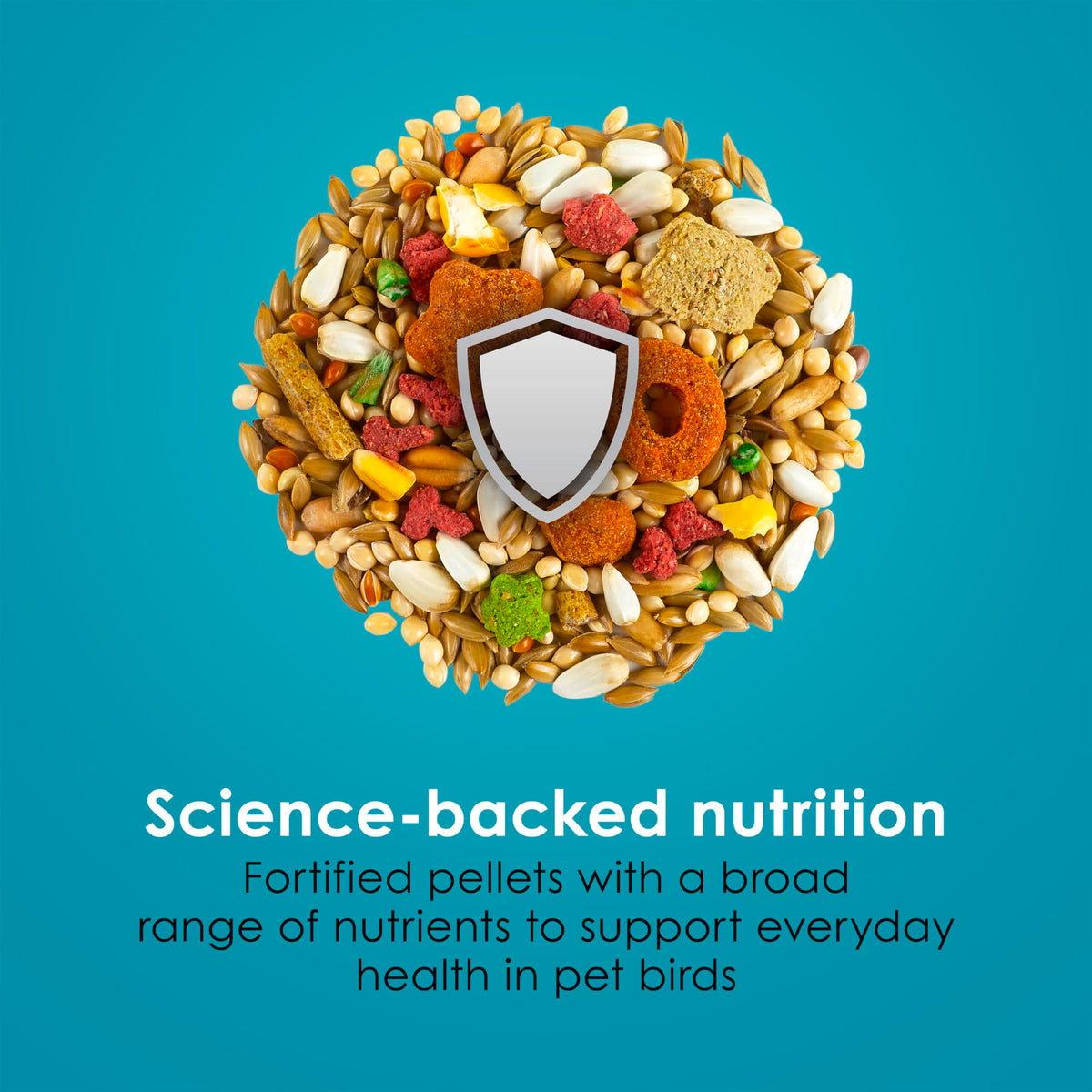 Kaytee Forti-Diet Pro Health+Safflower Nourish+Protect Cockatiel Food | Supports digestive health. Bird food cockatiel with safflower and flaxseed. Cockatiel seed, prebiotics, probiotics