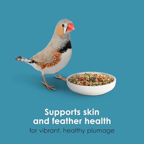 Kaytee Forti-Diet Pro Health Nourish+Protect Canary & Finch Food, 2 Lb | Supports digestion and immunity. Canary food with probiotics and prebiotics. Bird food, omega 3s, naturally preserved