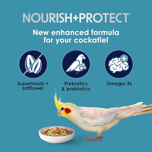 Kaytee Forti-Diet Pro Health+Safflower Nourish+Protect Cockatiel Food | Supports digestive health. Bird food cockatiel with safflower and flaxseed. Cockatiel seed, prebiotics, probiotics