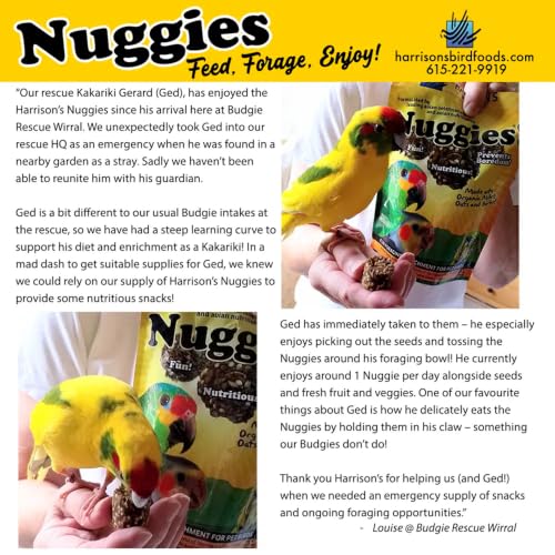 Harrison's Bird Foods Nuggies - Tasty Organic Baked Seed Clusters, 196g