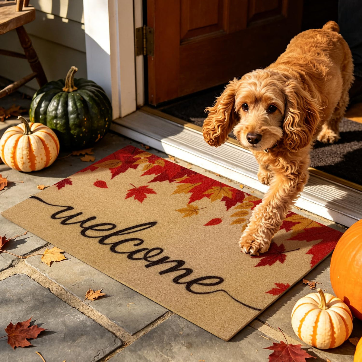 PKFEDR Fall Door Mat, Non Slip Front Welcome Mat Outdoor Indoor 17"x30" | Heavy Duty Washable Doormat Traps Mud, Low Profile Anti Slip Backing, Adds Cozy Fall Decor to Your Entrance Patio & Porch