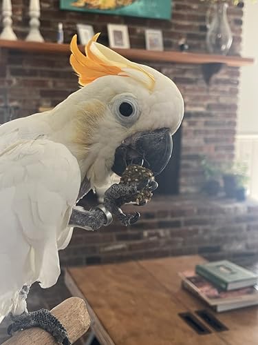 Harrison's Bird Foods Nuggies - Tasty Organic Baked Seed Clusters, 196g
