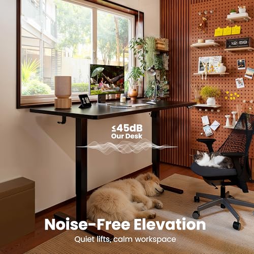 ErGear 48 X 24 Inch Height Adjustable Electric Standing Desk, Black | Stand Up office Desk, Home Office Computer Desk with 4 Memory Presets, Stable Steel Frame, 176 lbs Capacity, Easy Assembly