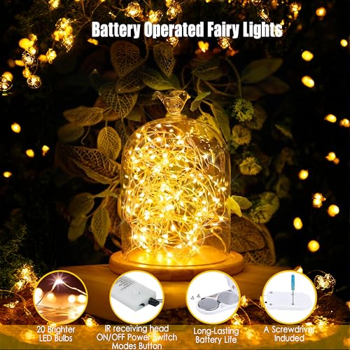 6 Pack Fairy Lights Battery Operated With Timer,2 Remotes,20 LED Warm White | 6.5ft Twinkle Lights,Waterproof Silver Wire Firefly Lights DIY Mason Jar Wedding Party Christmas Centerpiece Table Deco