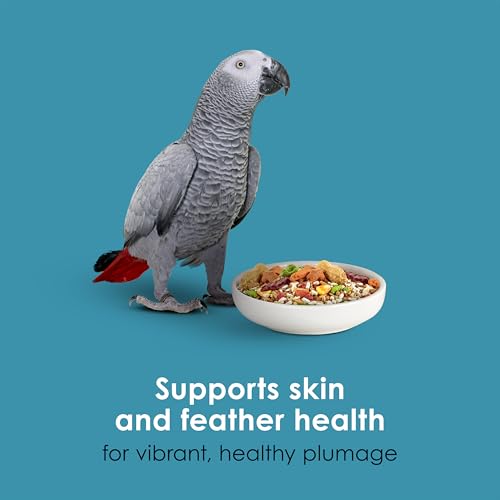 Kaytee Forti-Diet Pro Health+Safflower Parrot Food, 4 Pounds | Better digestion daily. Parrot food for medium birds. Prebiotics, probiotics, bird seed without sunflower seeds