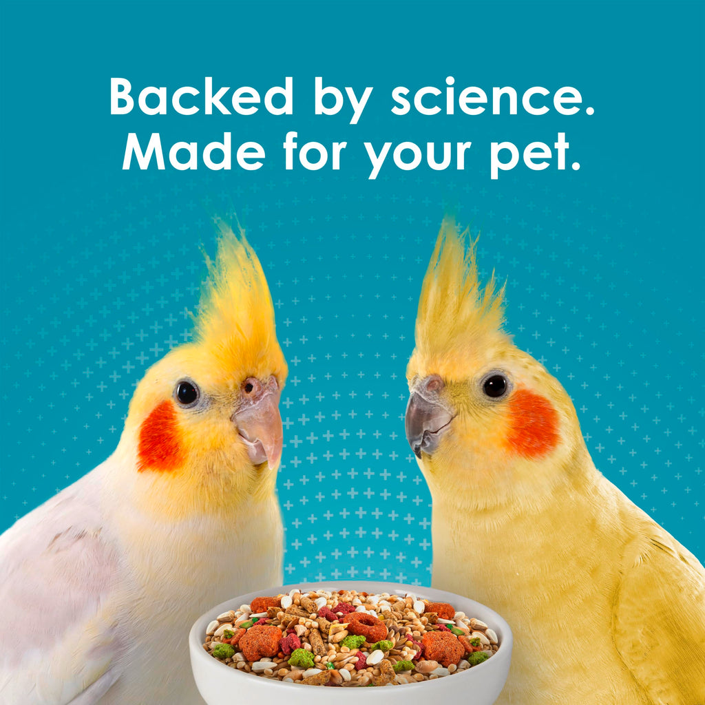 Kaytee Forti-Diet Pro Health+Safflower Nourish+Protect Cockatiel Food | Supports digestive health. Bird food cockatiel with safflower and flaxseed. Cockatiel seed, prebiotics, probiotics