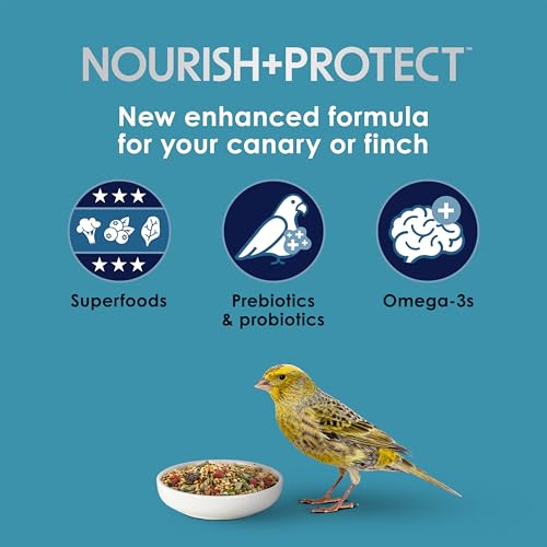Kaytee Forti-Diet Pro Health Nourish+Protect Canary & Finch Food, 2 Lb | Supports digestion and immunity. Canary food with probiotics and prebiotics. Bird food, omega 3s, naturally preserved