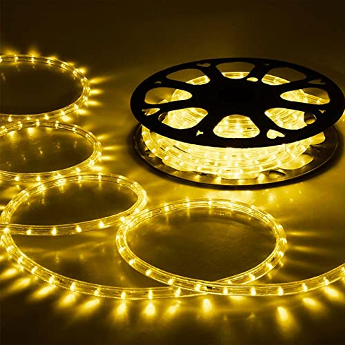100ft LED Rope Lights Outdoor, 720 LED Connectable and Flexible Tube Lights with 8 Modes, Waterproof LED Rope Lighting for Garden, Patio, Pool, Bedroom, Party, Indoor Outdoor Decoration (Warm White)