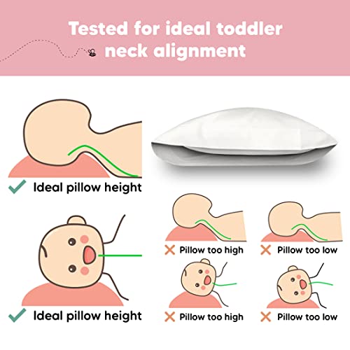 Toddler Pillow with Pillowcase, 13x18 My Little Dreamy Pillow (Soft White) | Kids Travel Bed Pillow for Sleep, Organic Cotton Small Pillowcase, Soft, Breathable, Machine Washable, Toddlers 2-5 years