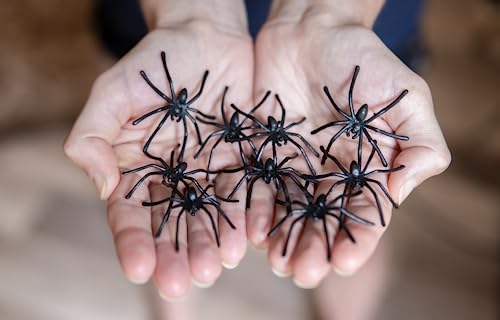 Happy Hippo Halloween Spider Web Decoration, 200 Square Feet & Plastic Spiders, Halloween Party Supplies, Spider Webs (Small, 200 Sq Feet) (8 Fake Spiders Included)
