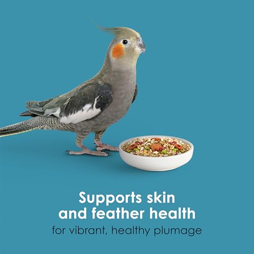 Kaytee Forti-Diet Pro Health+Safflower Nourish+Protect Cockatiel Food | Supports digestive health. Bird food cockatiel with safflower and flaxseed. Cockatiel seed, prebiotics, probiotics