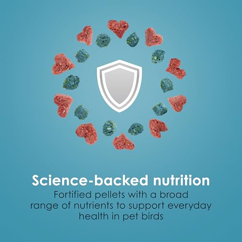 Kaytee Forti-Diet Pro Health Nourish+Protect Canary & Finch Food, 2 Lb | Supports digestion and immunity. Canary food with probiotics and prebiotics. Bird food, omega 3s, naturally preserved