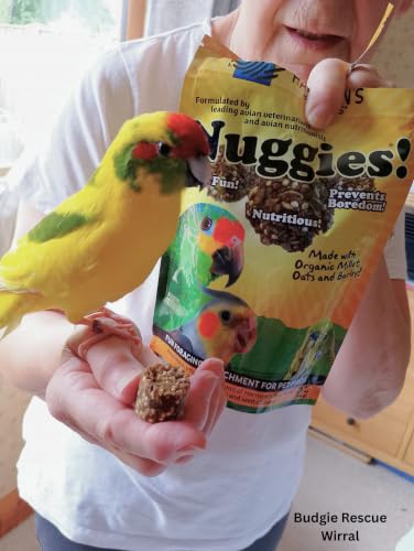 Harrison's Bird Foods Nuggies - Tasty Organic Baked Seed Clusters, 196g